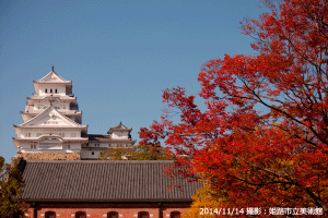 06_姫路城の秋