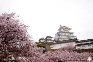 cherry-blossoms-end2015_04