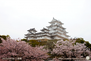 cherry-blossoms-end2015_07