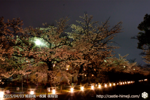 cherry-blossoms-night2015_02