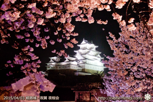 cherry-blossoms-night2015_25