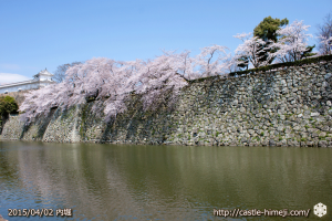cherry_blossoming2015_17