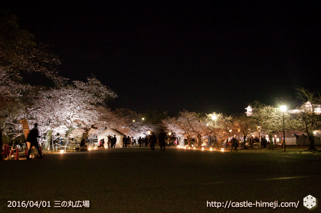 cherry-blossoms-light-up-off_01