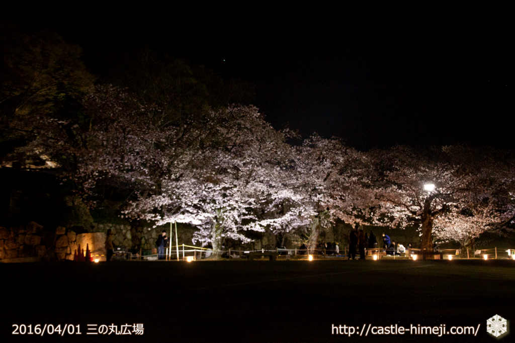 cherry-blossoms-light-up-off_02