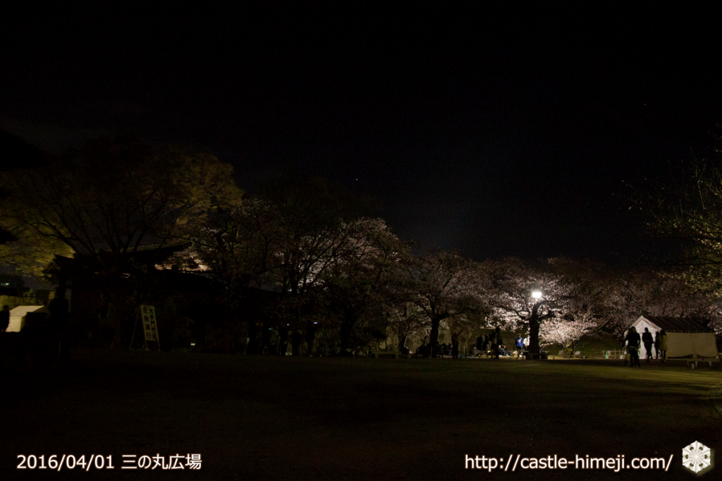cherry-blossoms-light-up-off_03