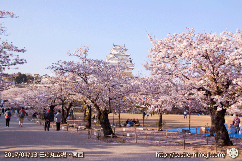 cherry-blossoms-end_02