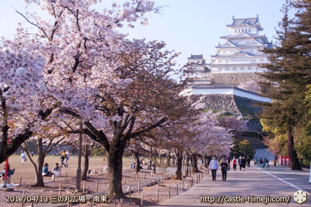 cherry-blossoms-end_06