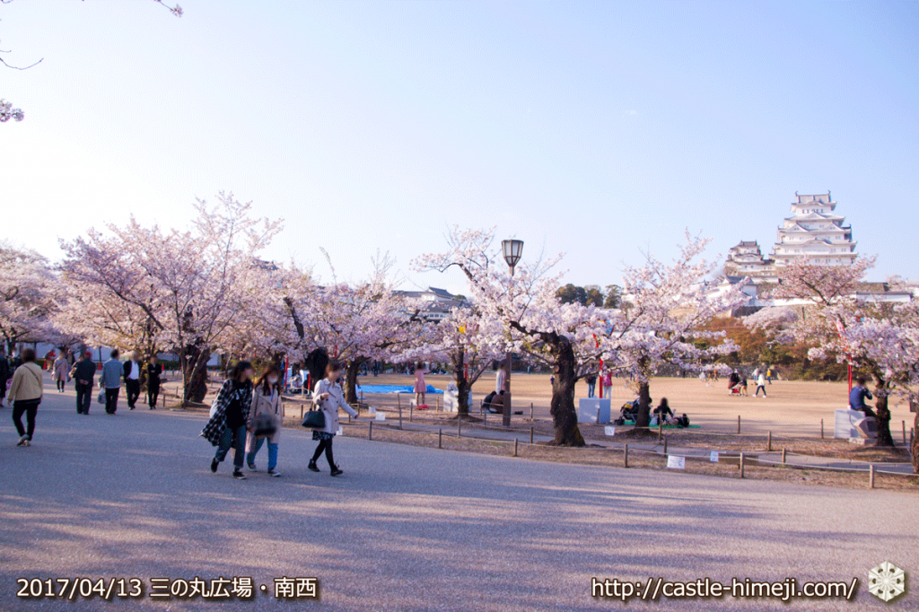 cherry-blossoms-end_10