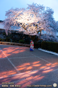 cherry-blossoms-night2015_05