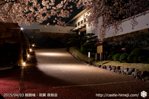 cherry-blossoms-night2015_09