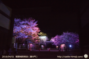 cherry-blossoms-night2016-white_02
