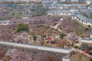 cherry-blossoms20160331_18