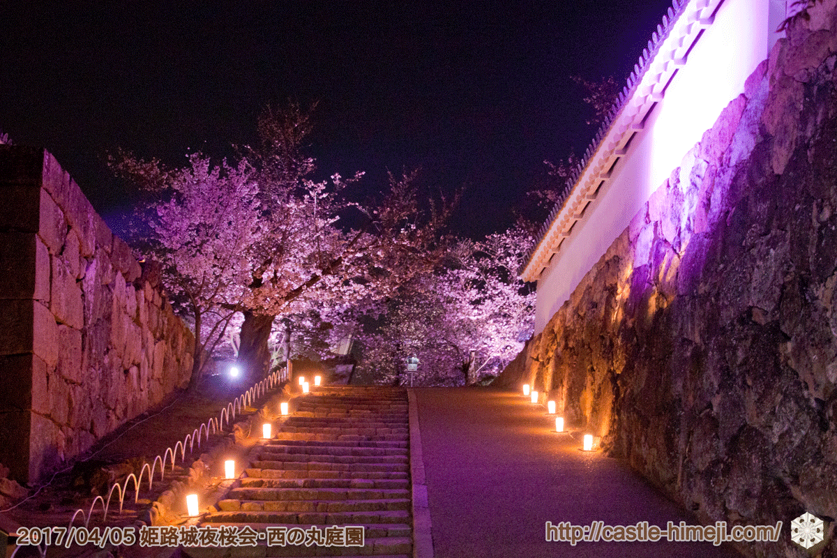速報 18 4 3 火 4 8 日 夜桜会 姫路城西の丸ライトアップ H30 開催概要 姫路城観光おすすめ 見どころ案内