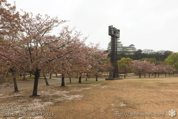 cherry-blossoms20180406_01