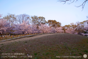 slow-cherry-blossoms20180330_06