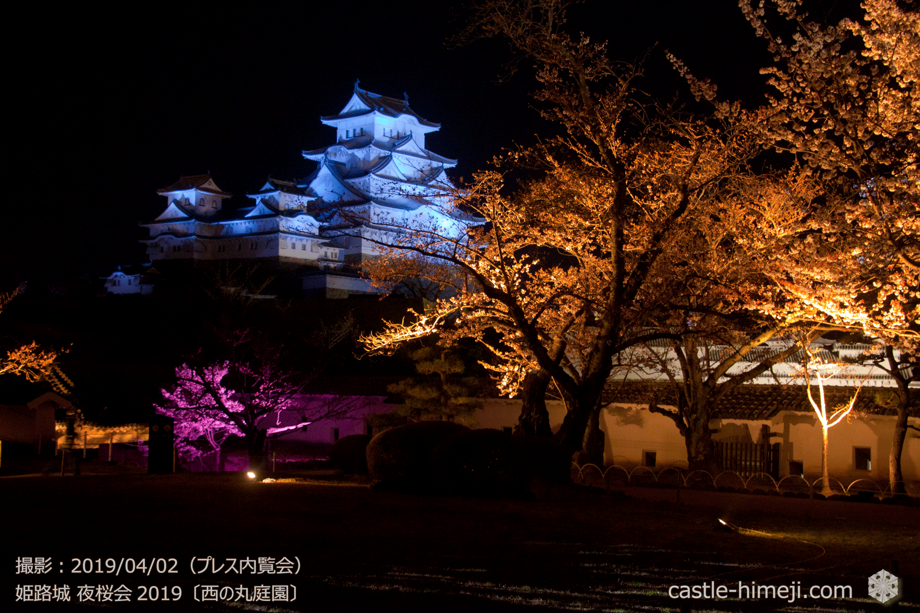 19 4 2 姫路城がブルーにライトアップ 自閉症啓発ライトアップ開催 終了 姫路城観光おすすめ 見どころ案内